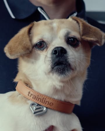 <a href="/alice-kunisue">Alice Kunisue</a> X Trainline <span style="text-transform: none; white-space: nowrap;">Dec. 25</span>