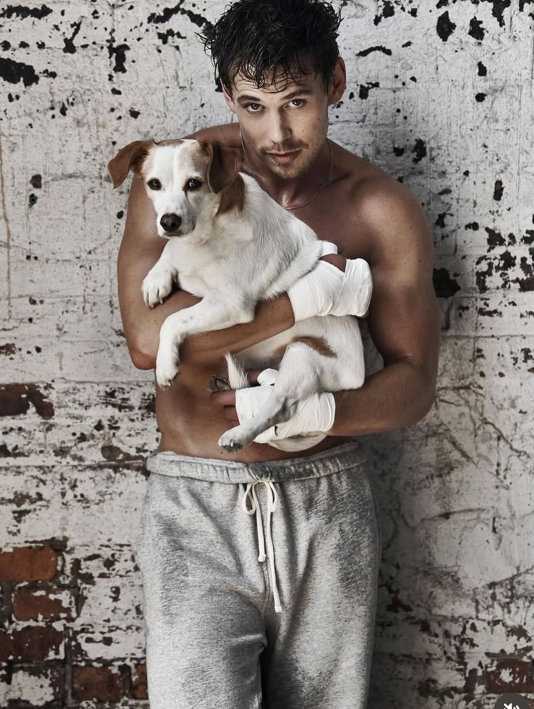 Matthew Brookes