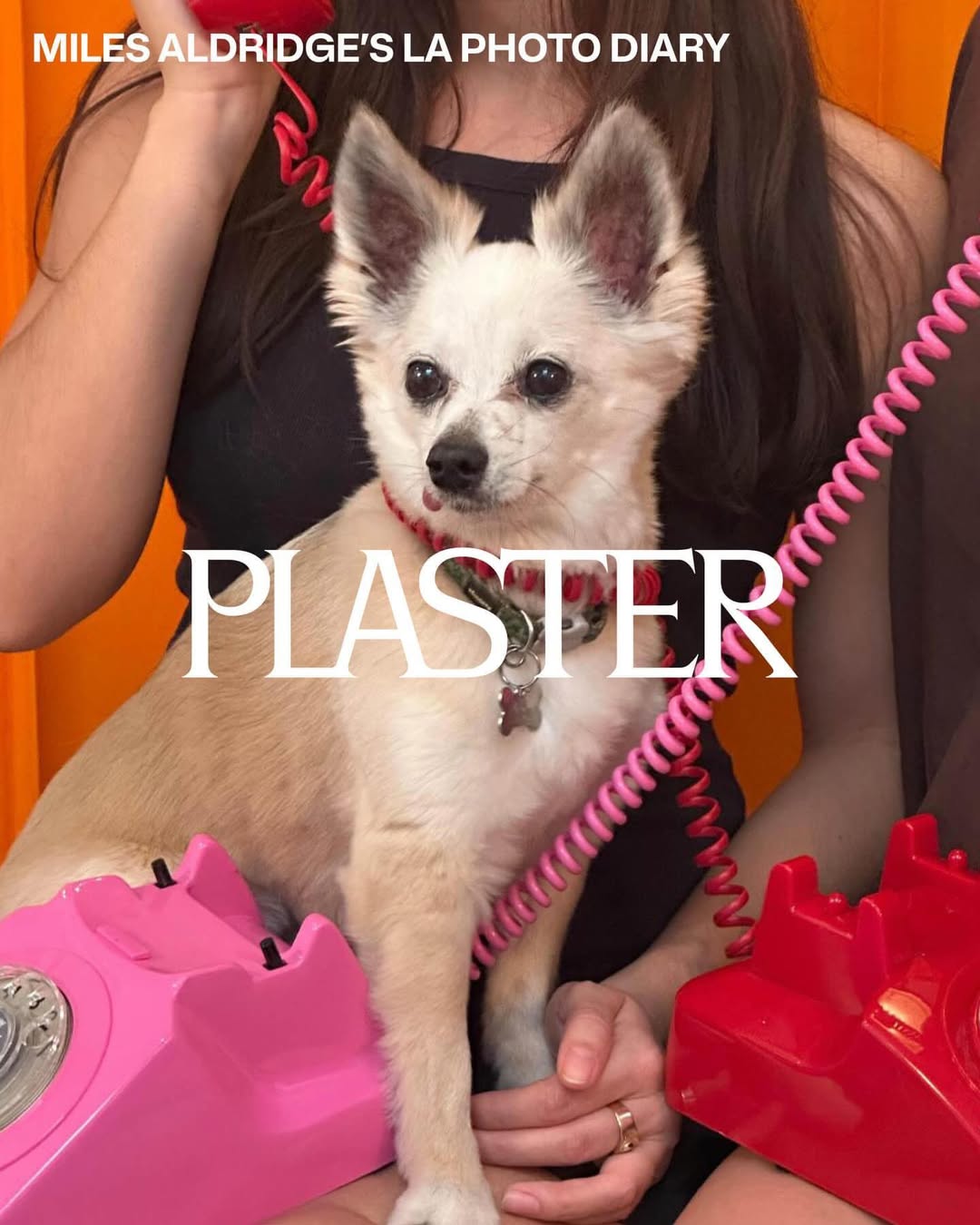 Miles Aldridge X Plaster Magazine