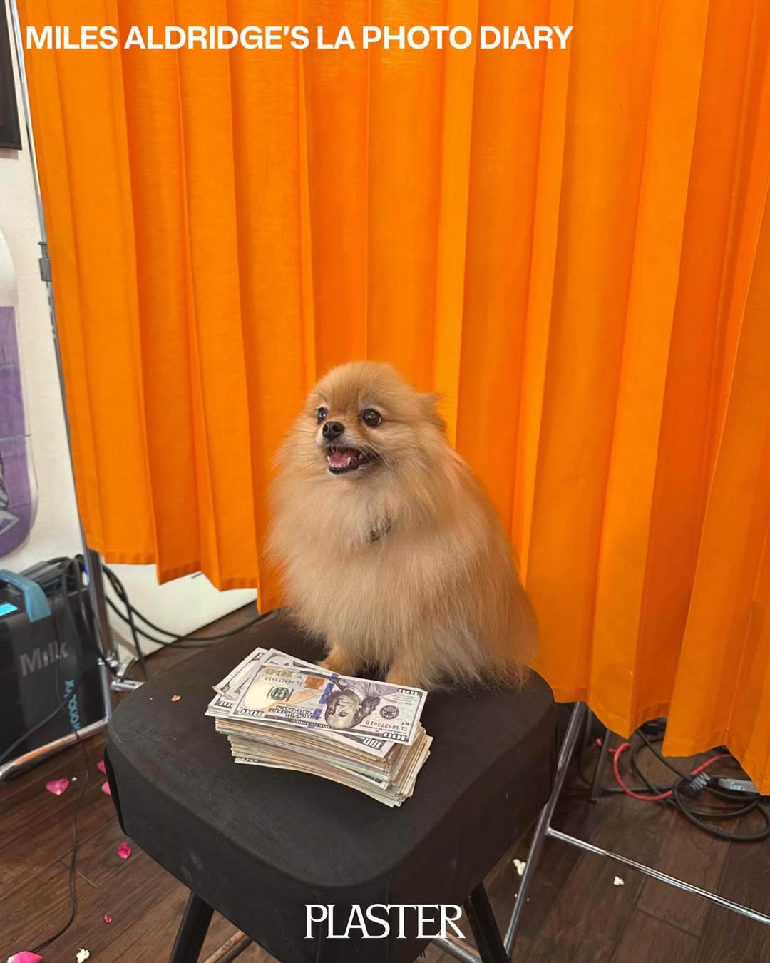 Miles Aldridge X Plaster Magazine Mar. 26