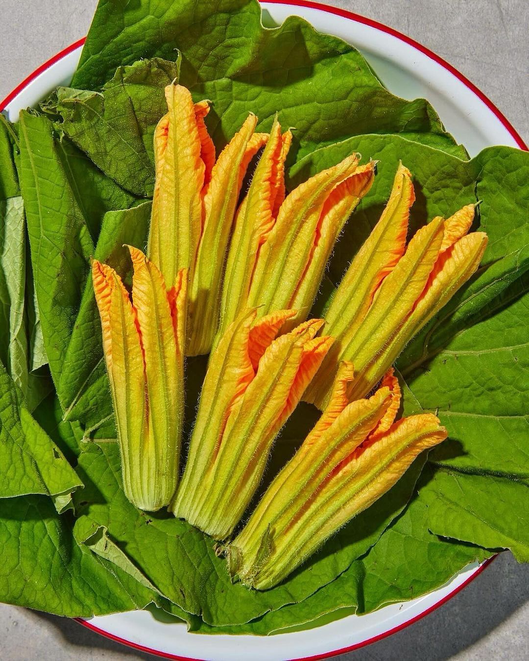 MasterClass |  Jan. 24