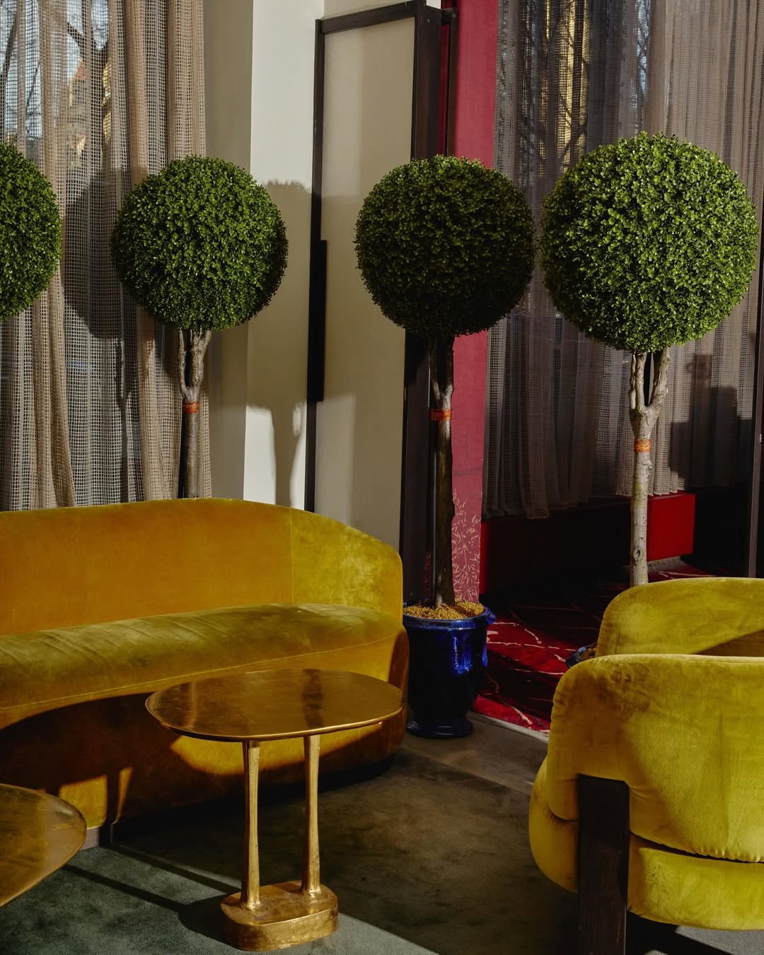 Emma Fishman X Park Lane New York