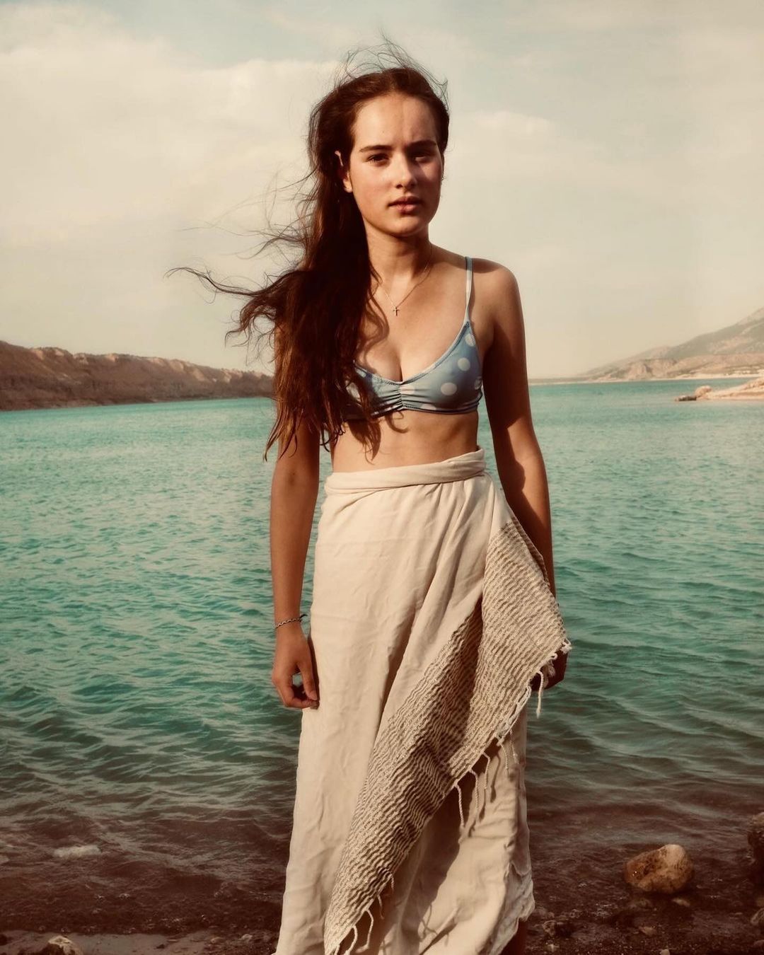 Alexis Armanet