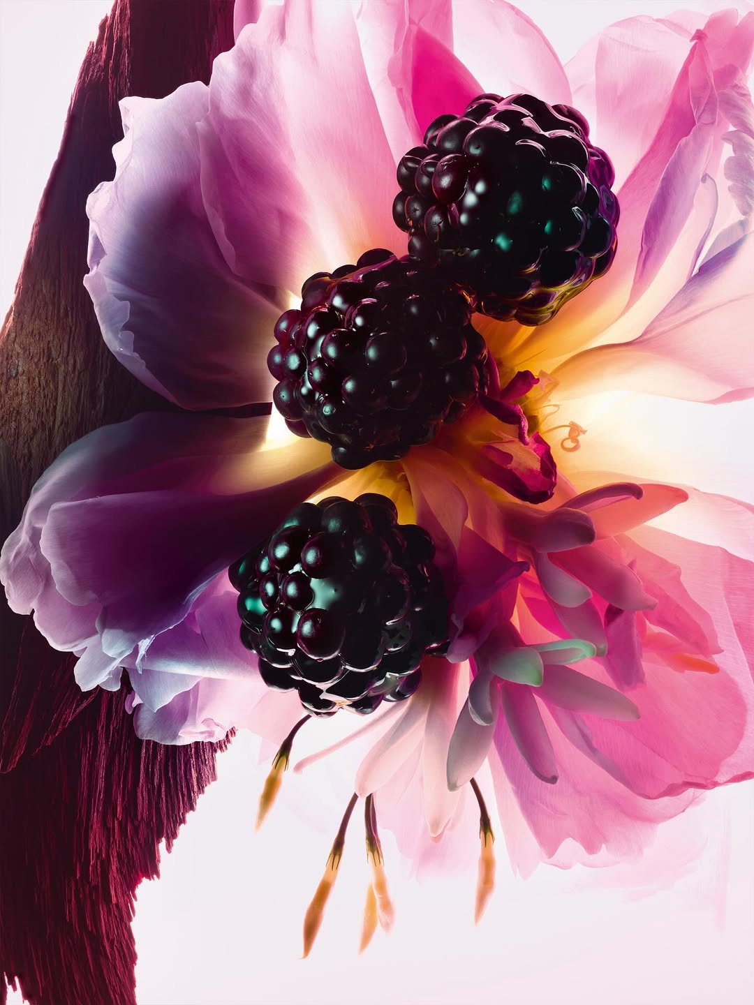 Ines Dieleman X Dior Beauty Sep. 25