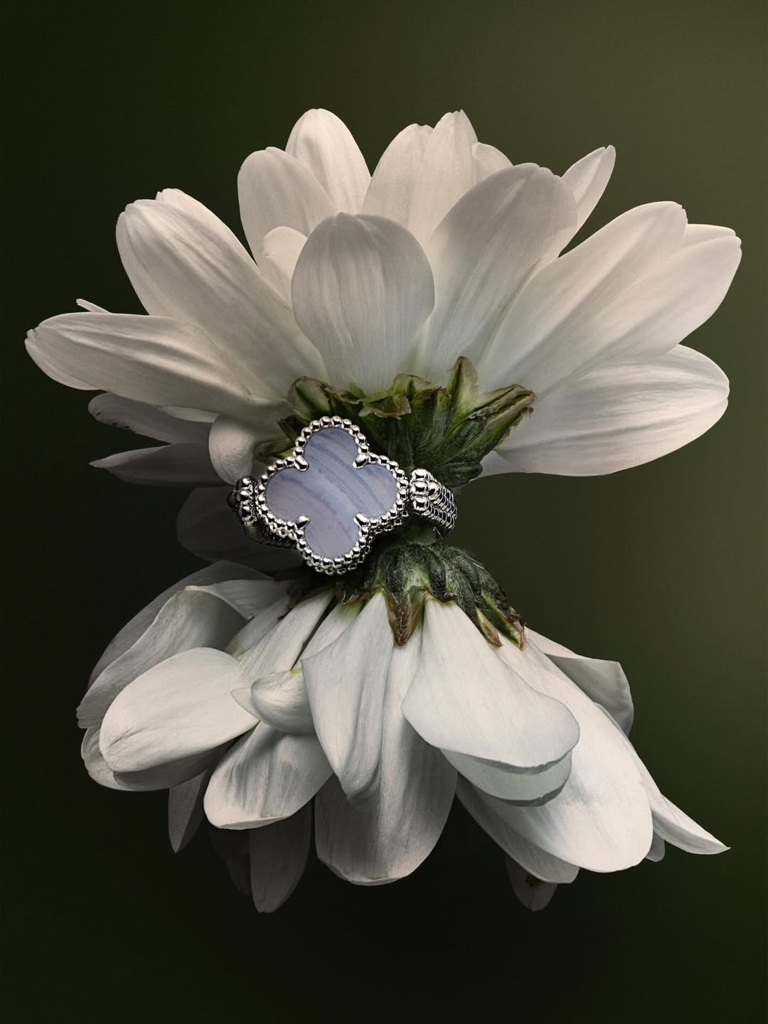 Ines Dieleman X Amica Jan. 26