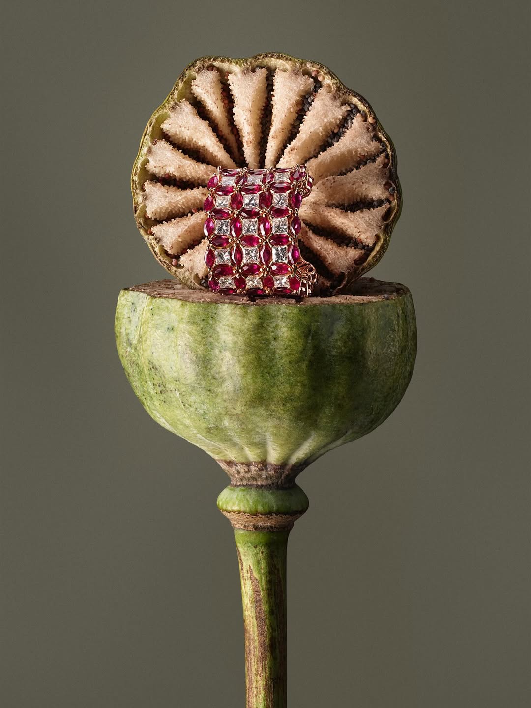 Ines Dieleman X Amica