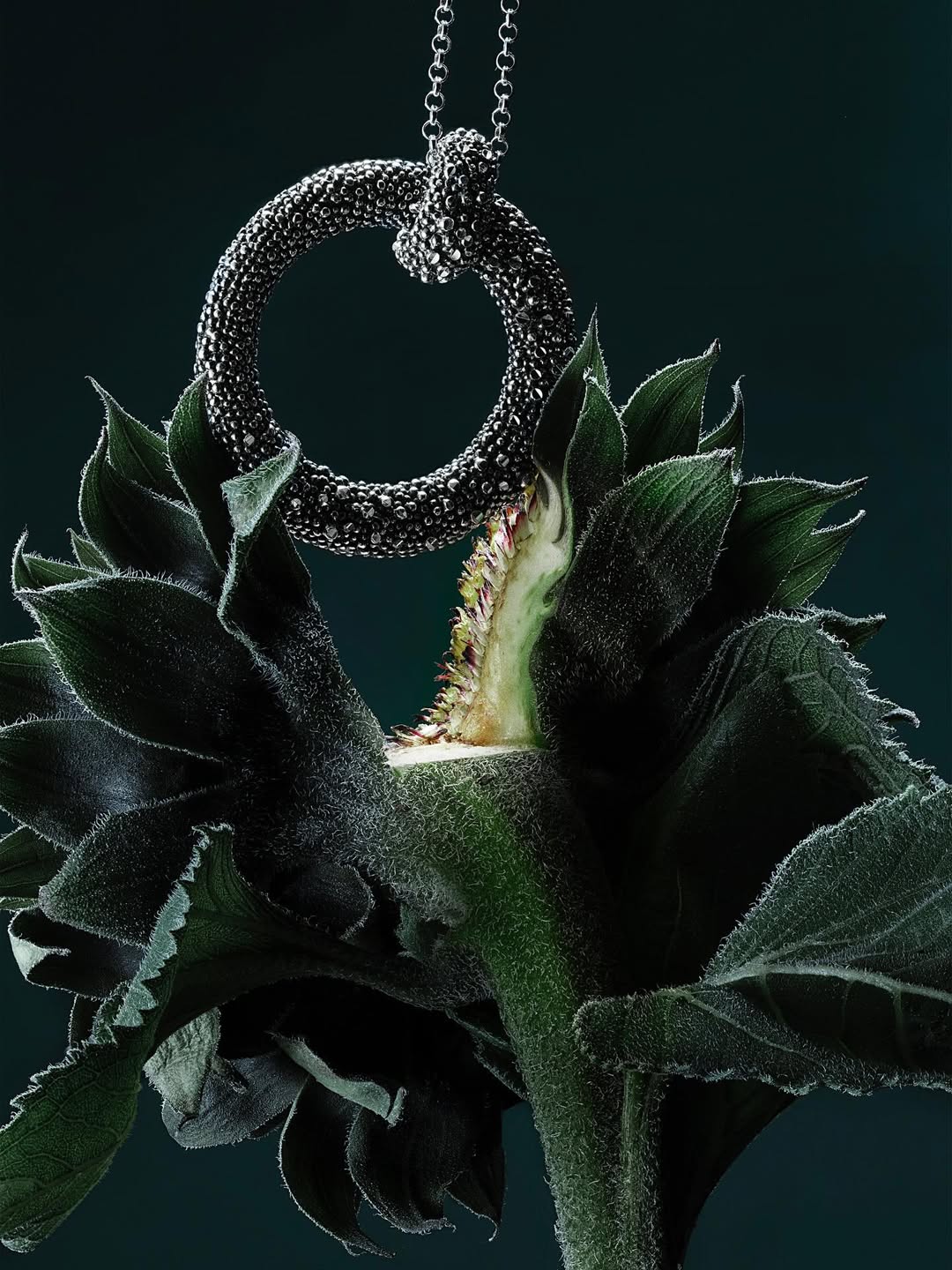 Ines Dieleman X Amica