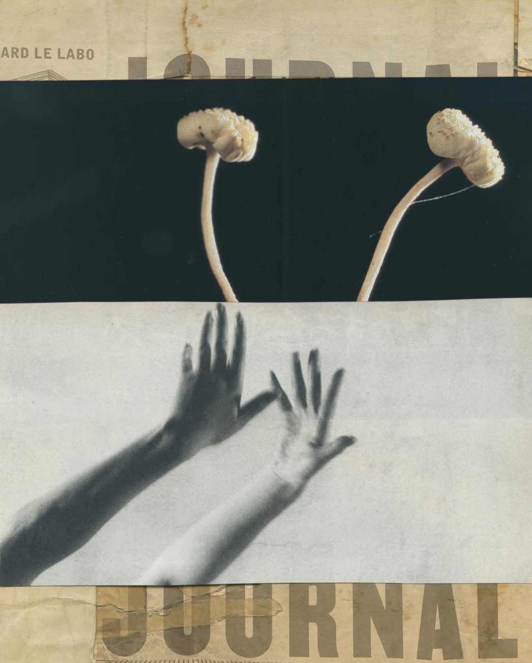 Katrien De Blauwer X AnOther Magazine Jan. 26