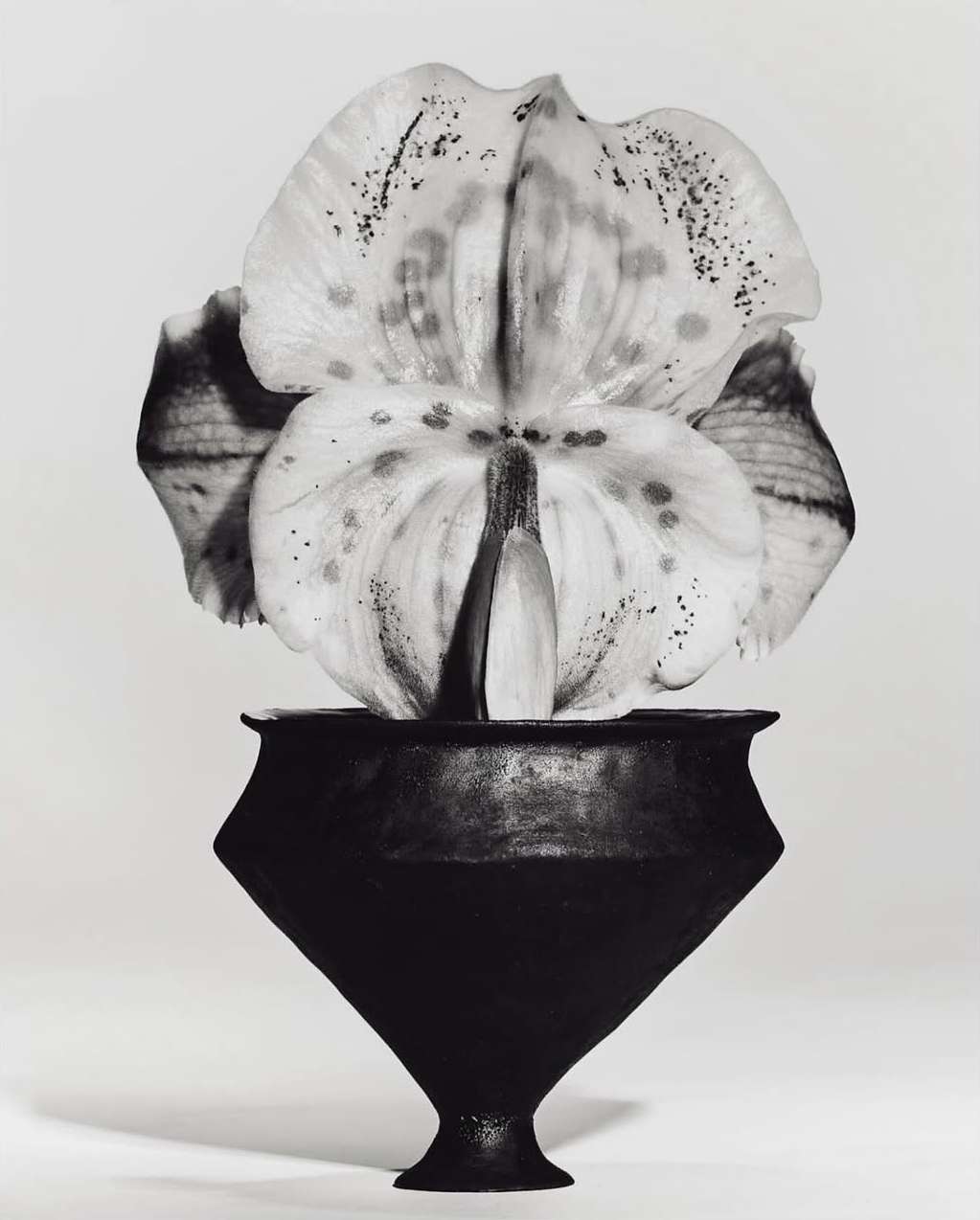 Mathieu Trautmann Feb. 26