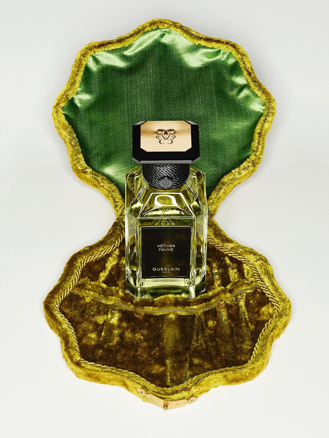 Ines Dieleman X Amica