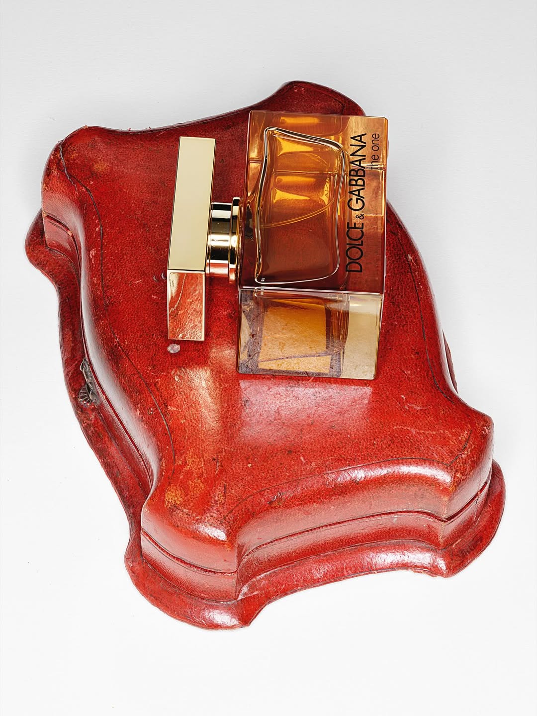 Ines Dieleman X Amica