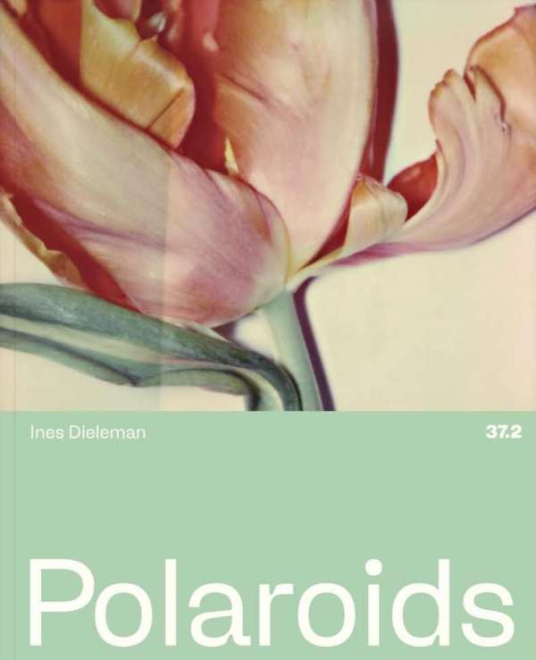Ines Dieleman