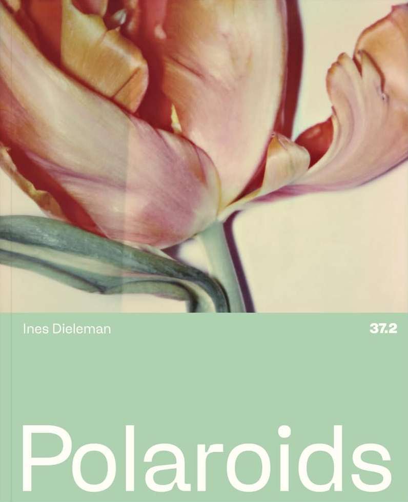 Ines Dieleman X 37.2 Mar. 26