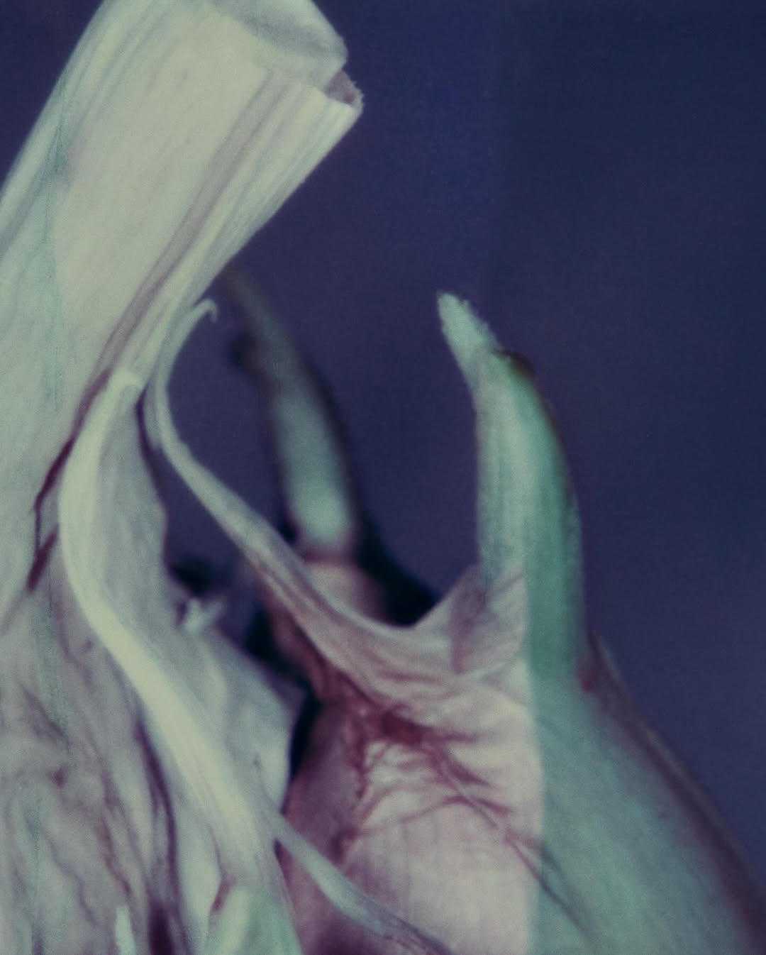 Ines Dieleman X 37.2 Mar. 26