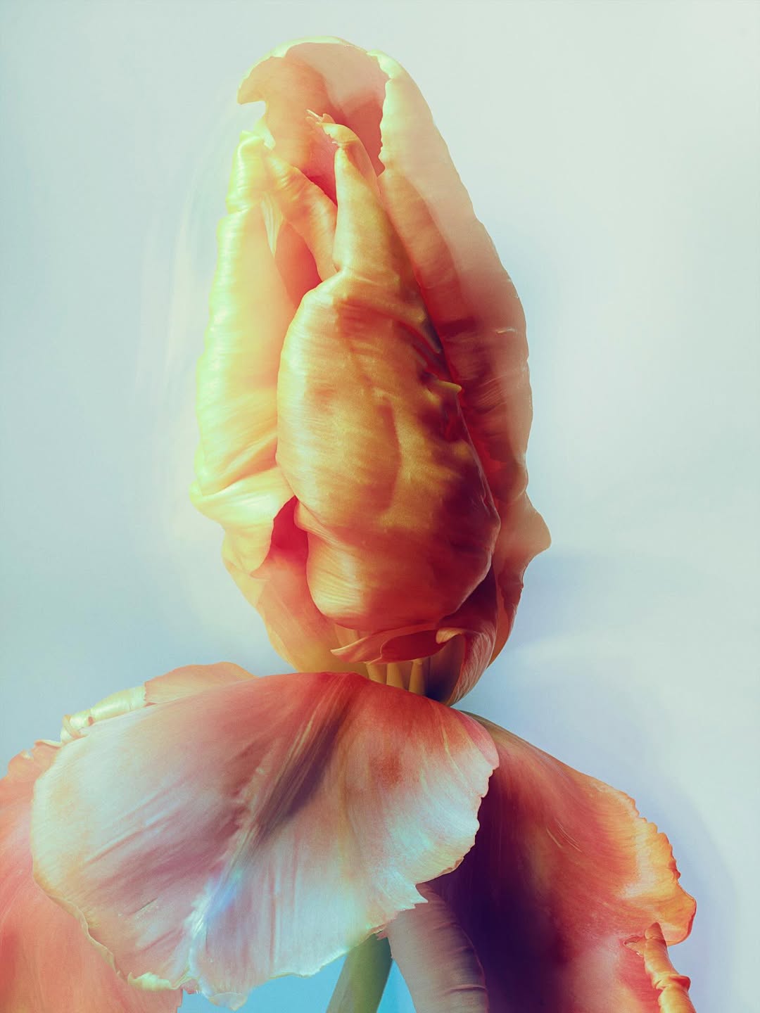 Ines Dieleman Apr. 26