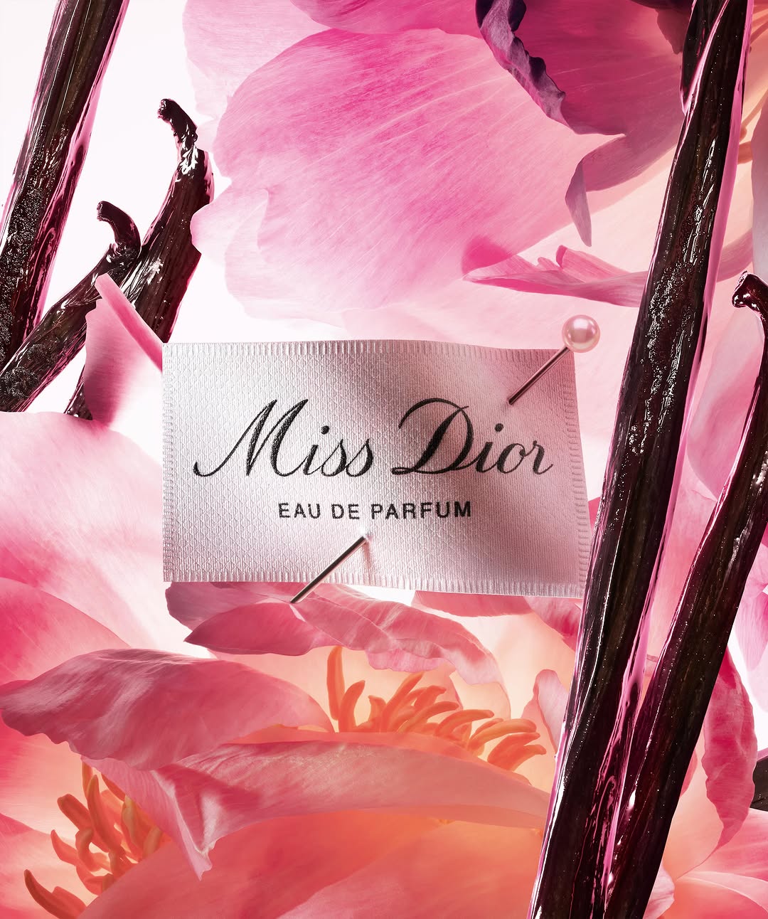 Ines Dieleman X Dior