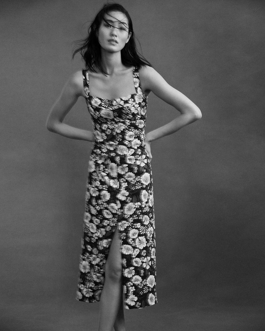 Veronica Beard |  Sep. 23