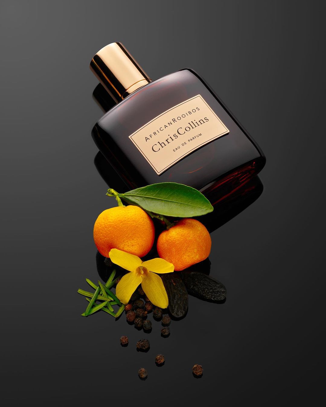 World of Chris Collins |  May. 23