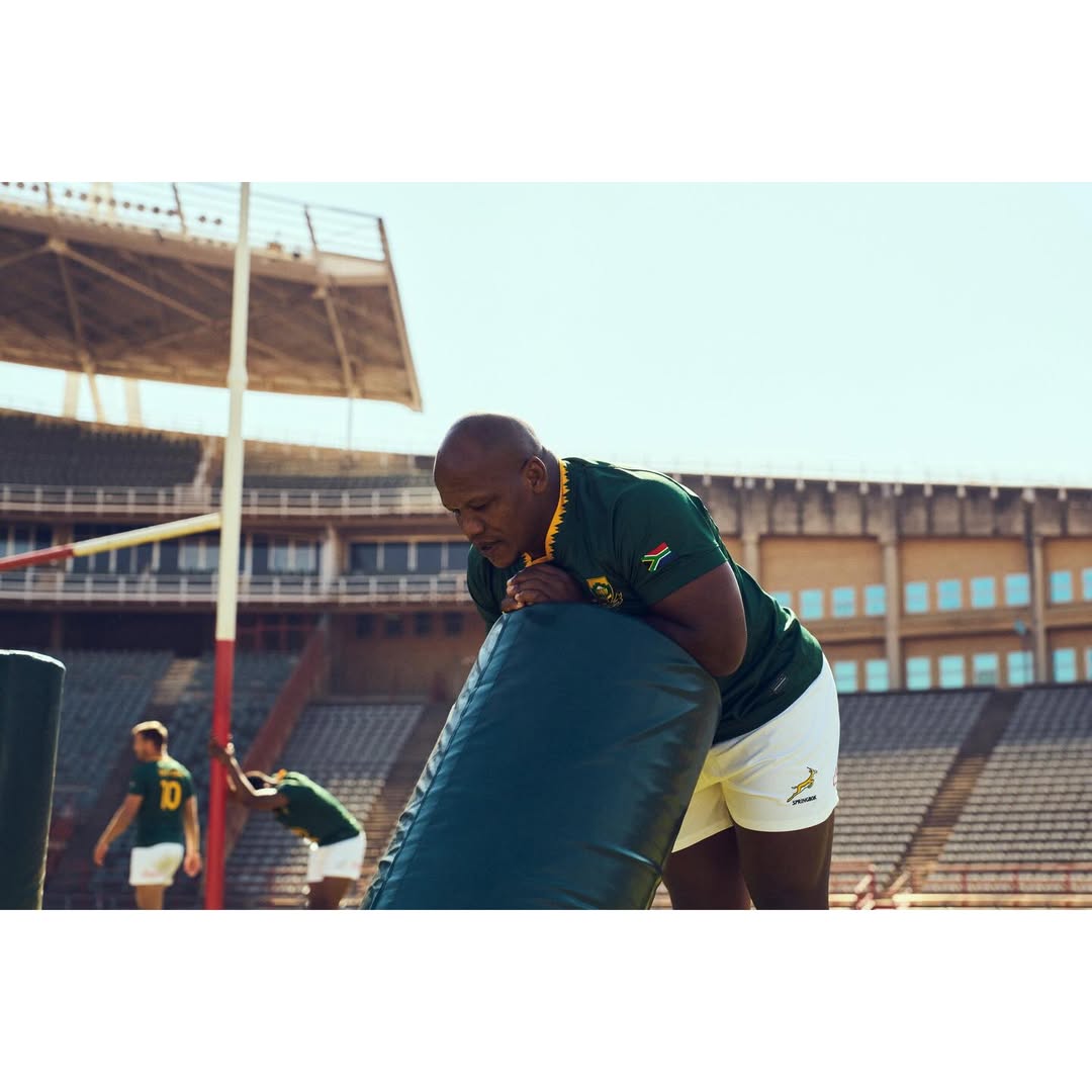 Philip Haynes X Springboks