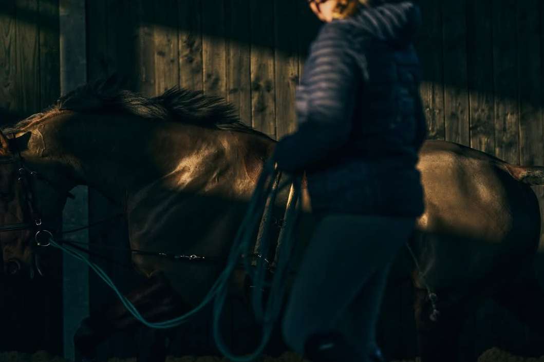 Philip Haynes X Harling Wood Stud Jan. 26