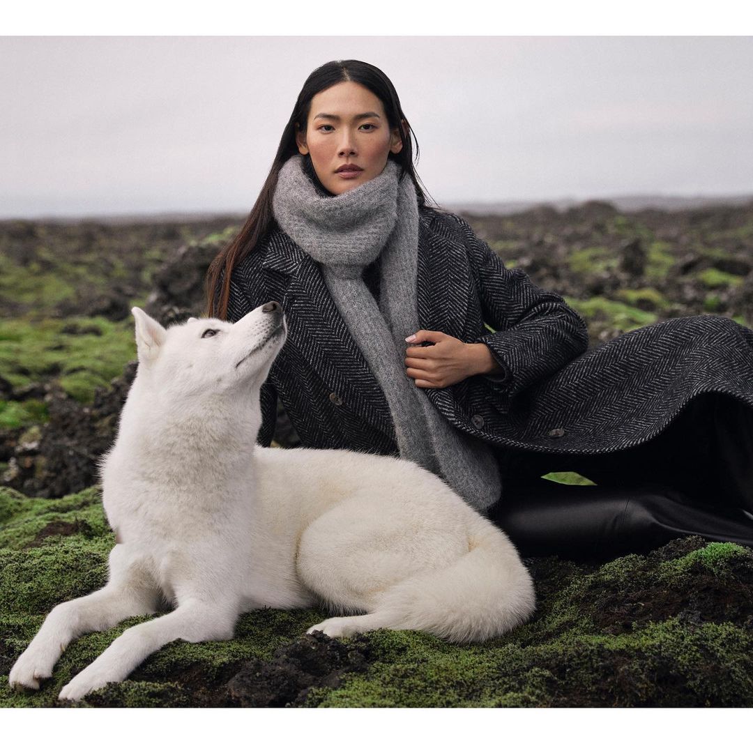 Banana Republic |  Dec. 22