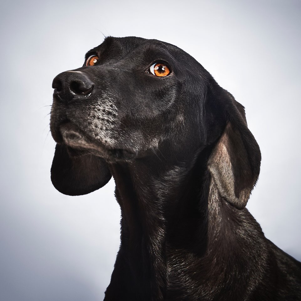 Takis Shelter |  Jan. 24