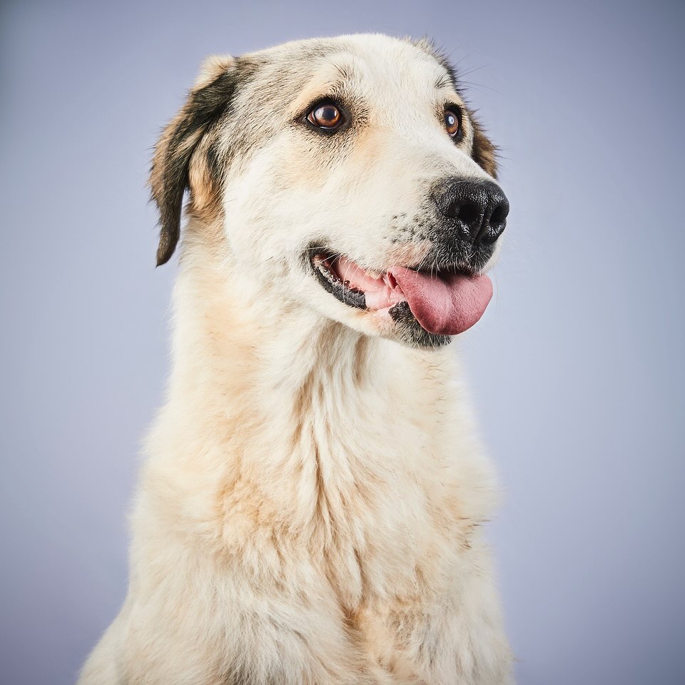 Takis Shelter |  Jan. 24