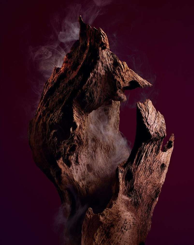 Viktor&Rolf Fragrances |  Sep. 23