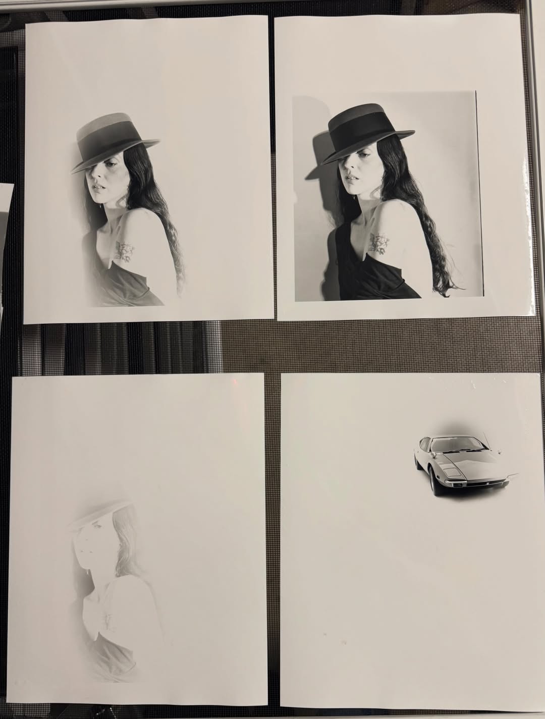 Danielle Neu