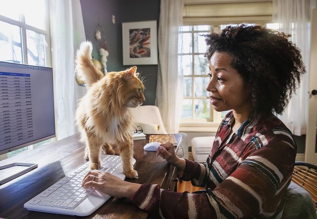 Stella & Chewy's |  Feb. 23