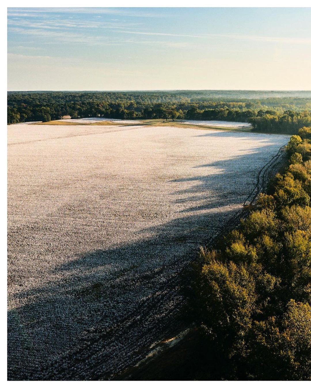 Osborn Barr Paramore |  Mar. 23