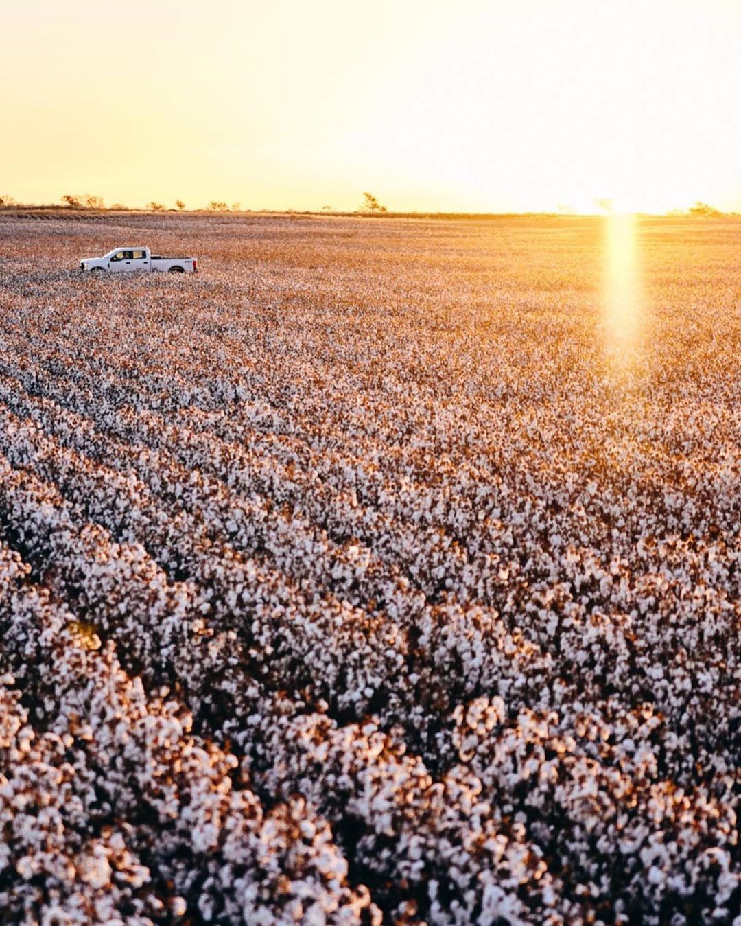 Osborn Barr Paramore |  Mar. 23