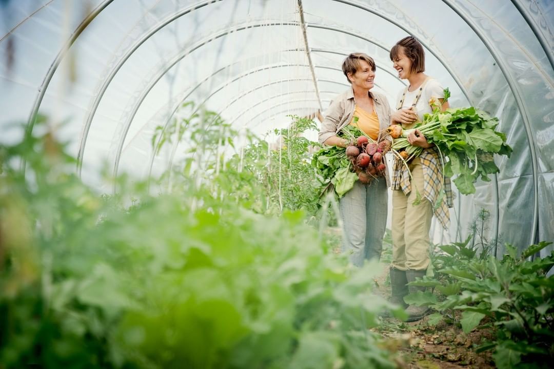 Red Acre Farm CSA |  Apr. 23