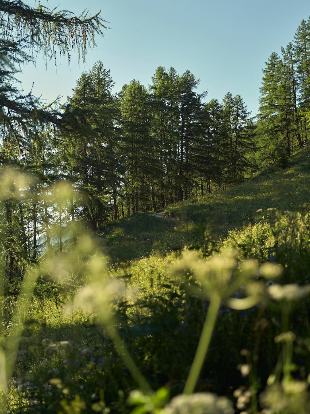 Toby Mitchell Feb. 26