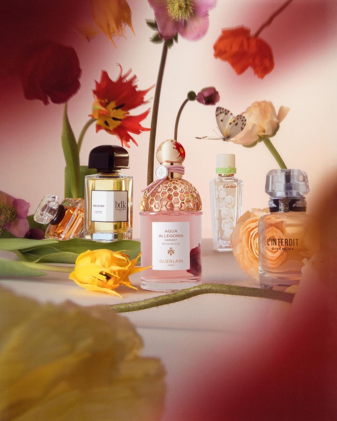 SILHOUETTE |  May. 23