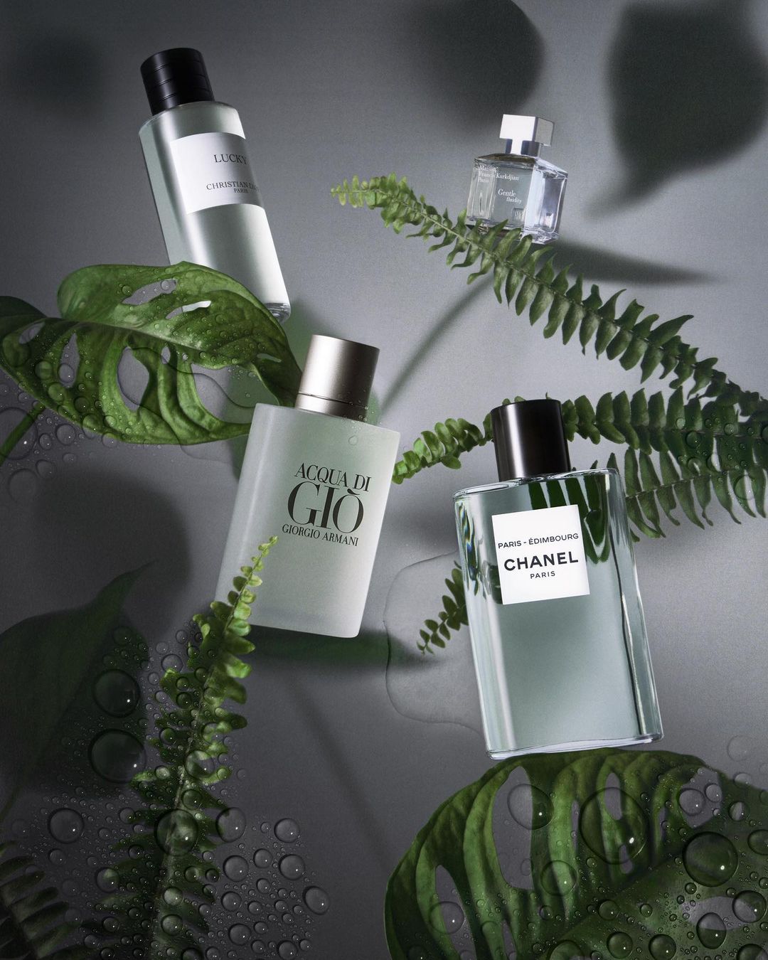 SILHOUETTE |  May. 23