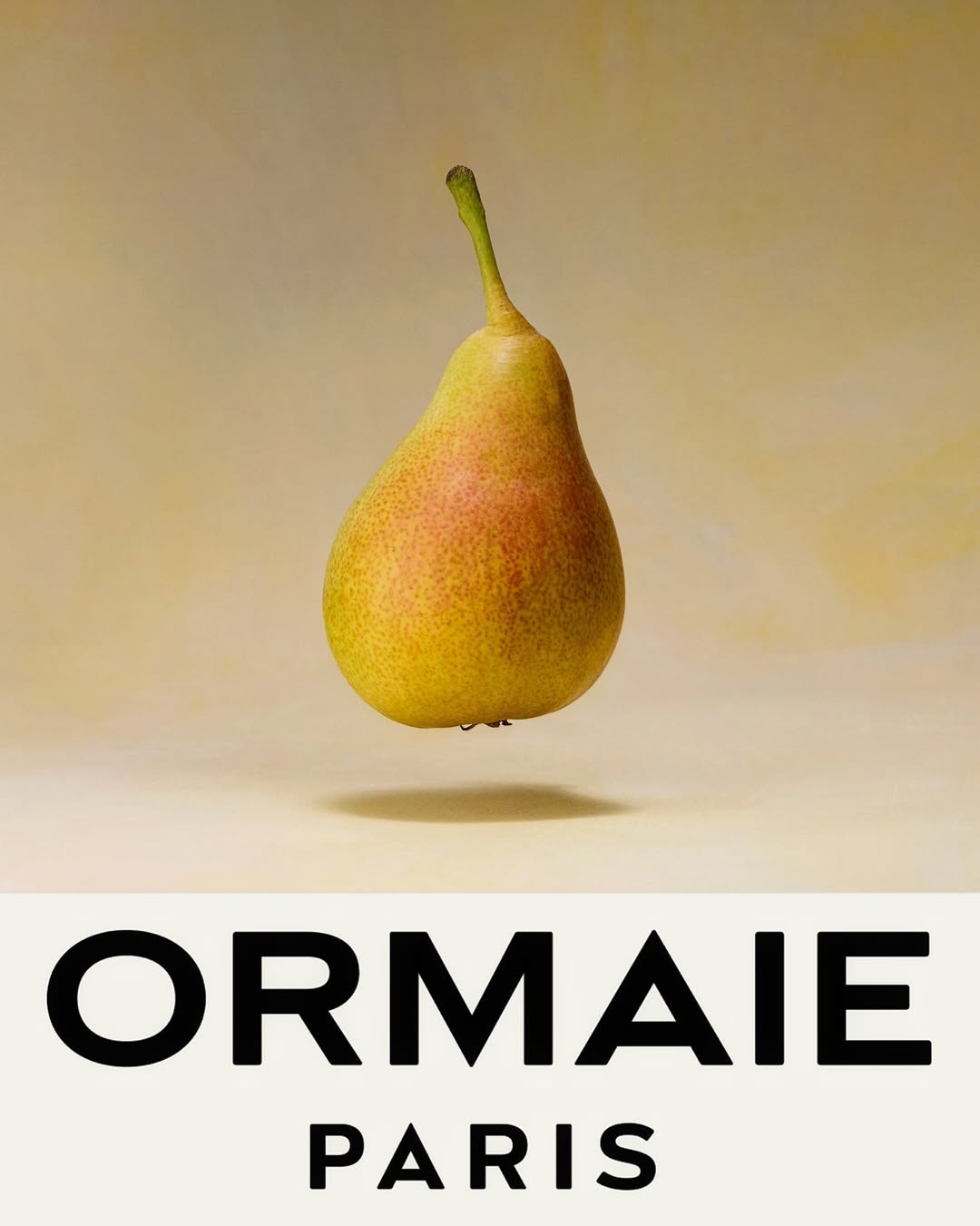 Adrien Sgandurra X Ormaie Oct. 25