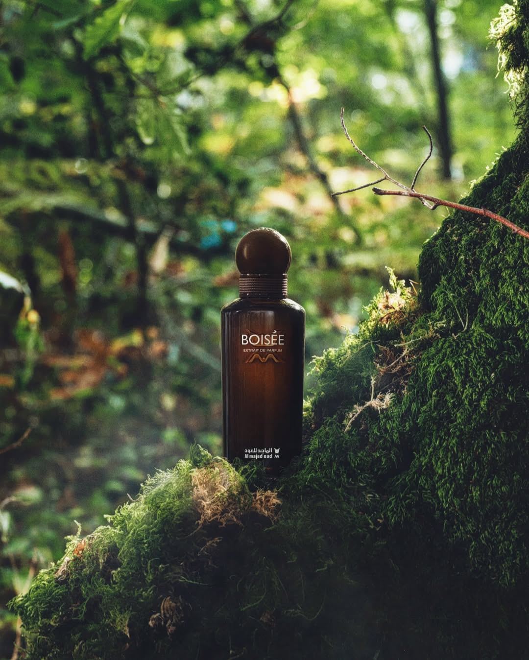 Adrien Sgandurra X Almajed For Oud