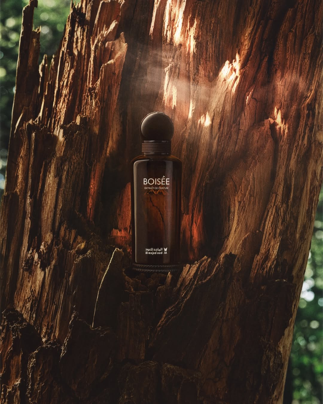 Adrien Sgandurra X Almajed For Oud