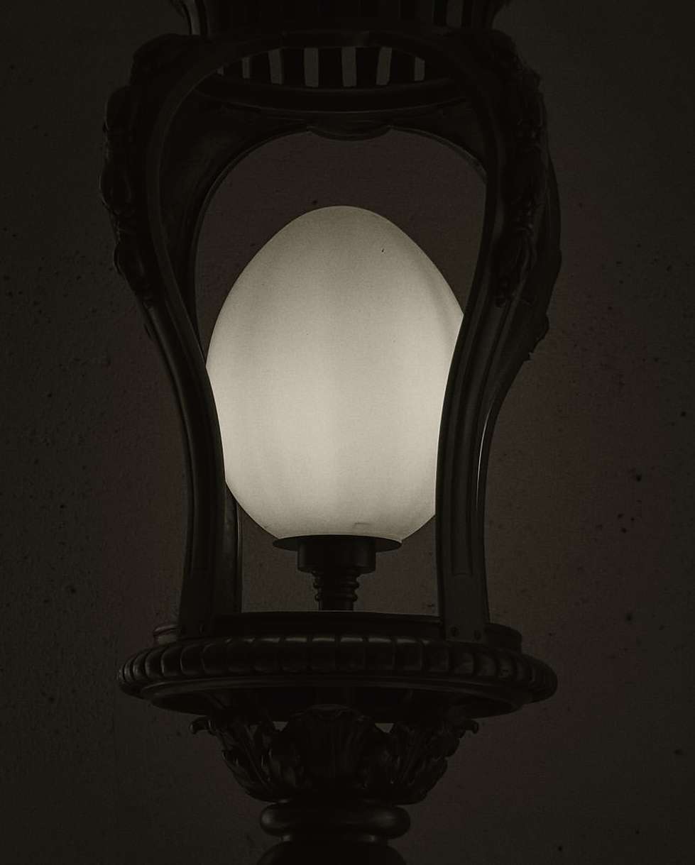 Adrian Gaut X Hotel Balzac Paris Oct. 25