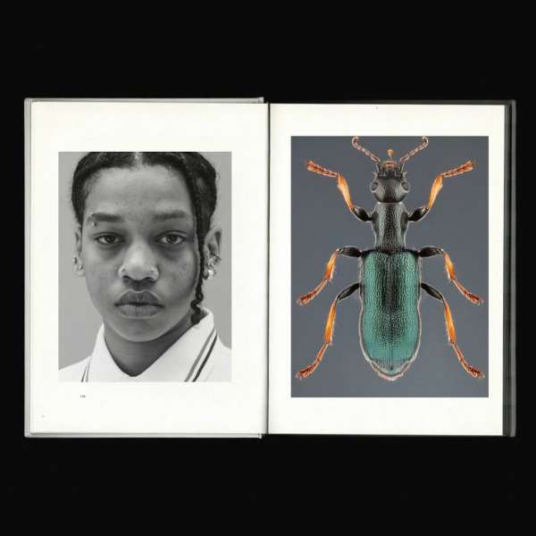 A seminal piece of work by photographer @em...