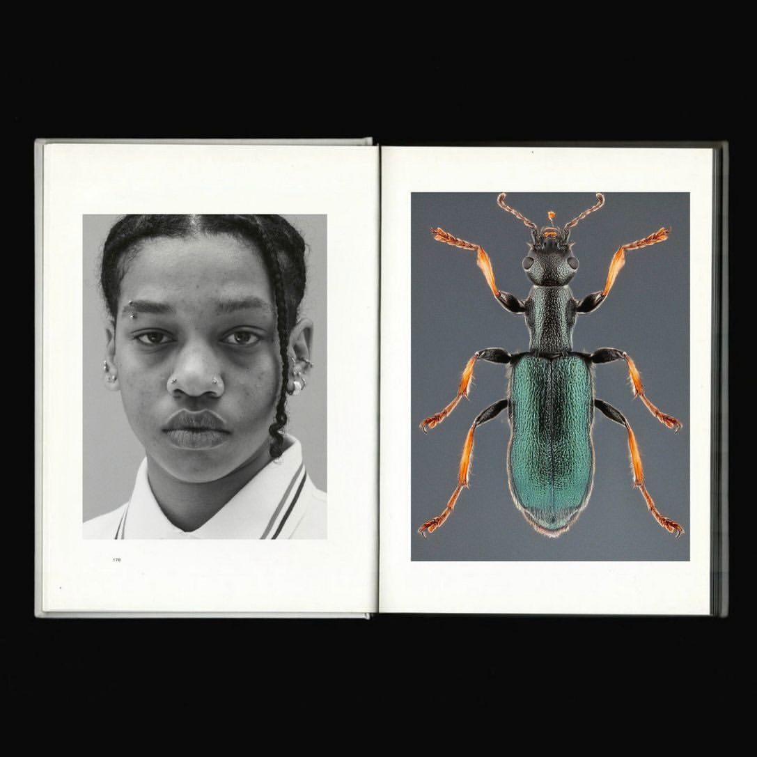 A seminal piece of work by photographer @emily.li...