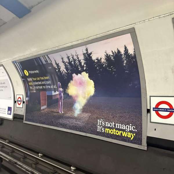 Out in the wild 👀