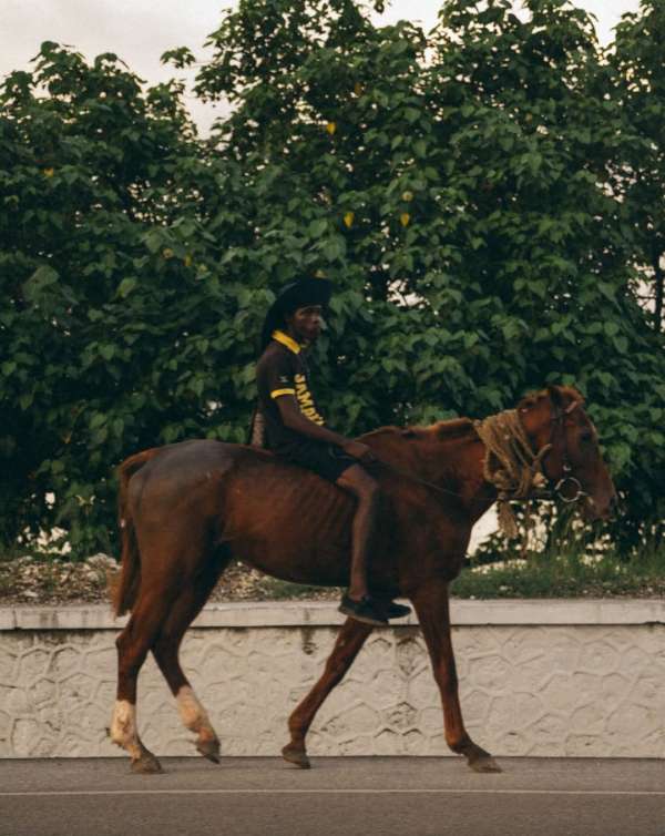 HAPPY LUNAR NEW YEAR! 🍀🐴