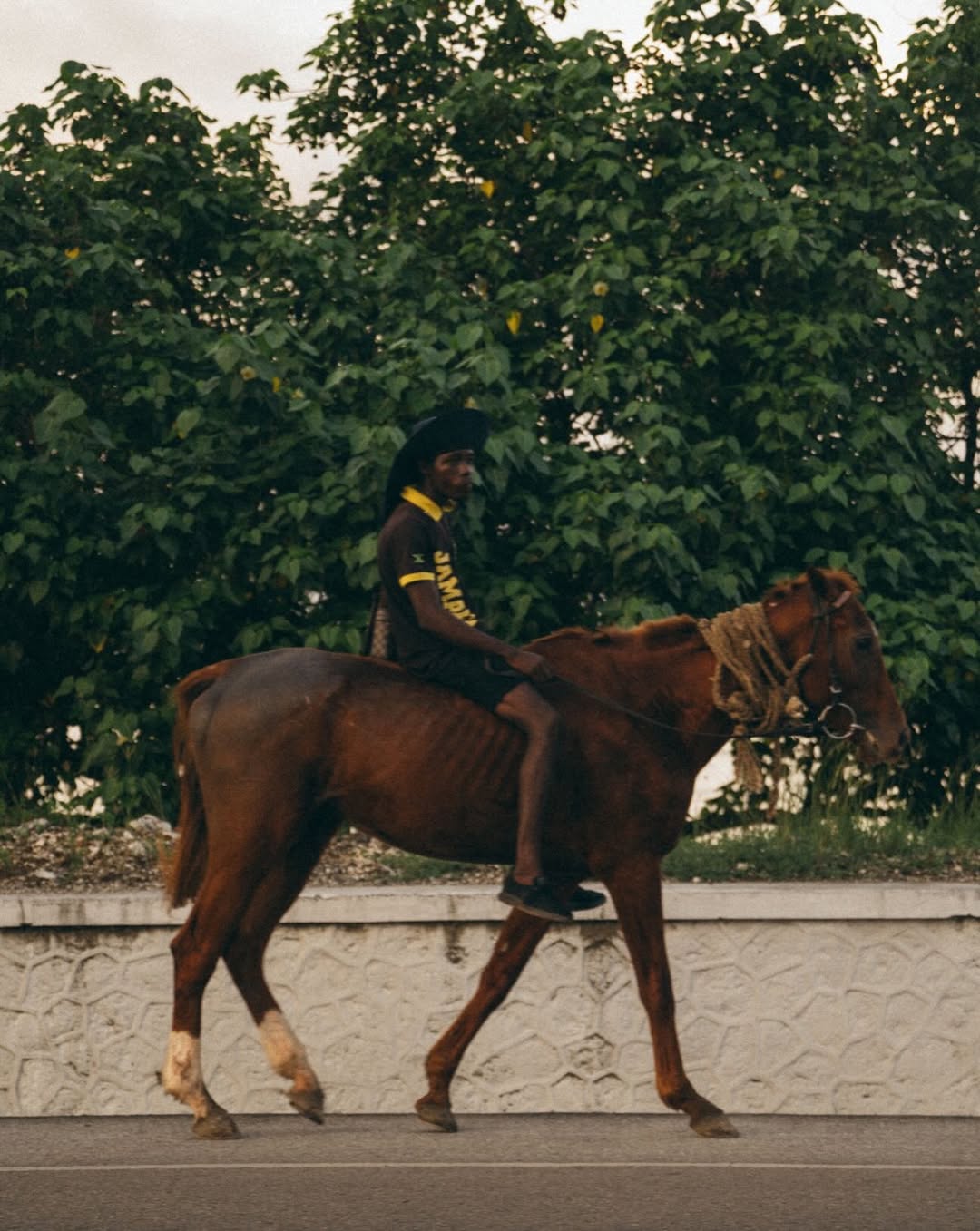 HAPPY LUNAR NEW YEAR! 