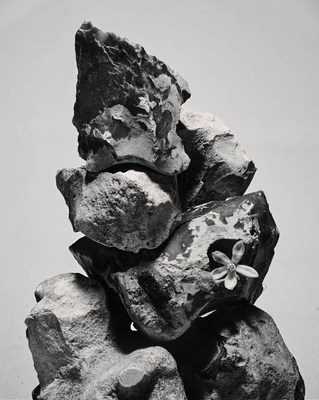 Achille Laplante Le Brun