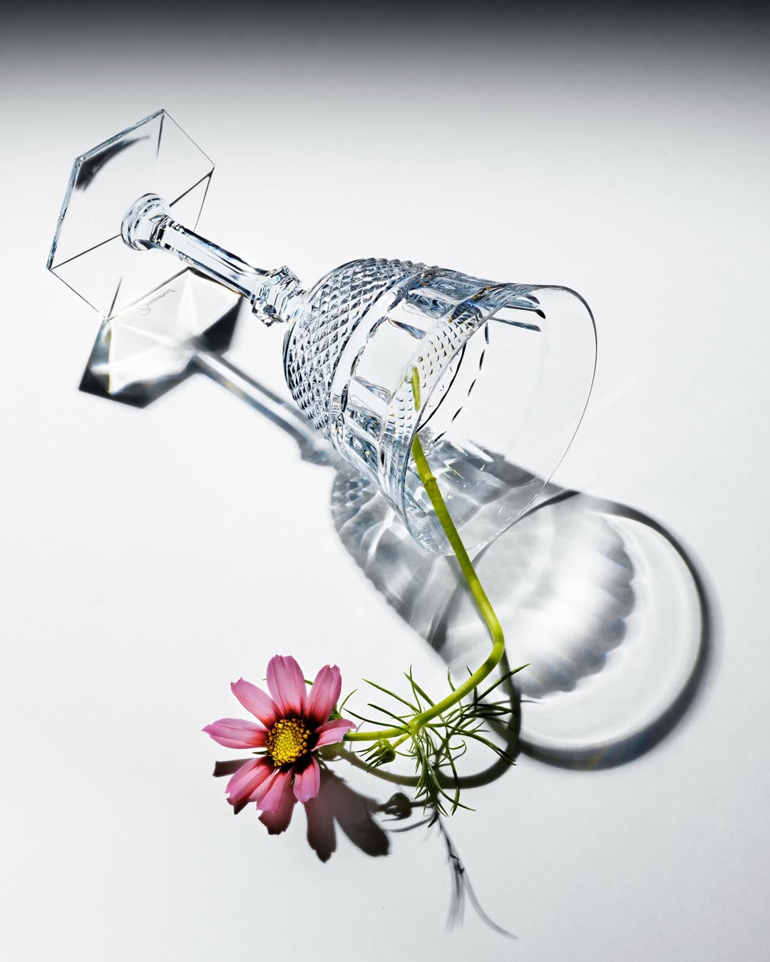 Achille Laplante Le Brun X Baccarat Mar. 26