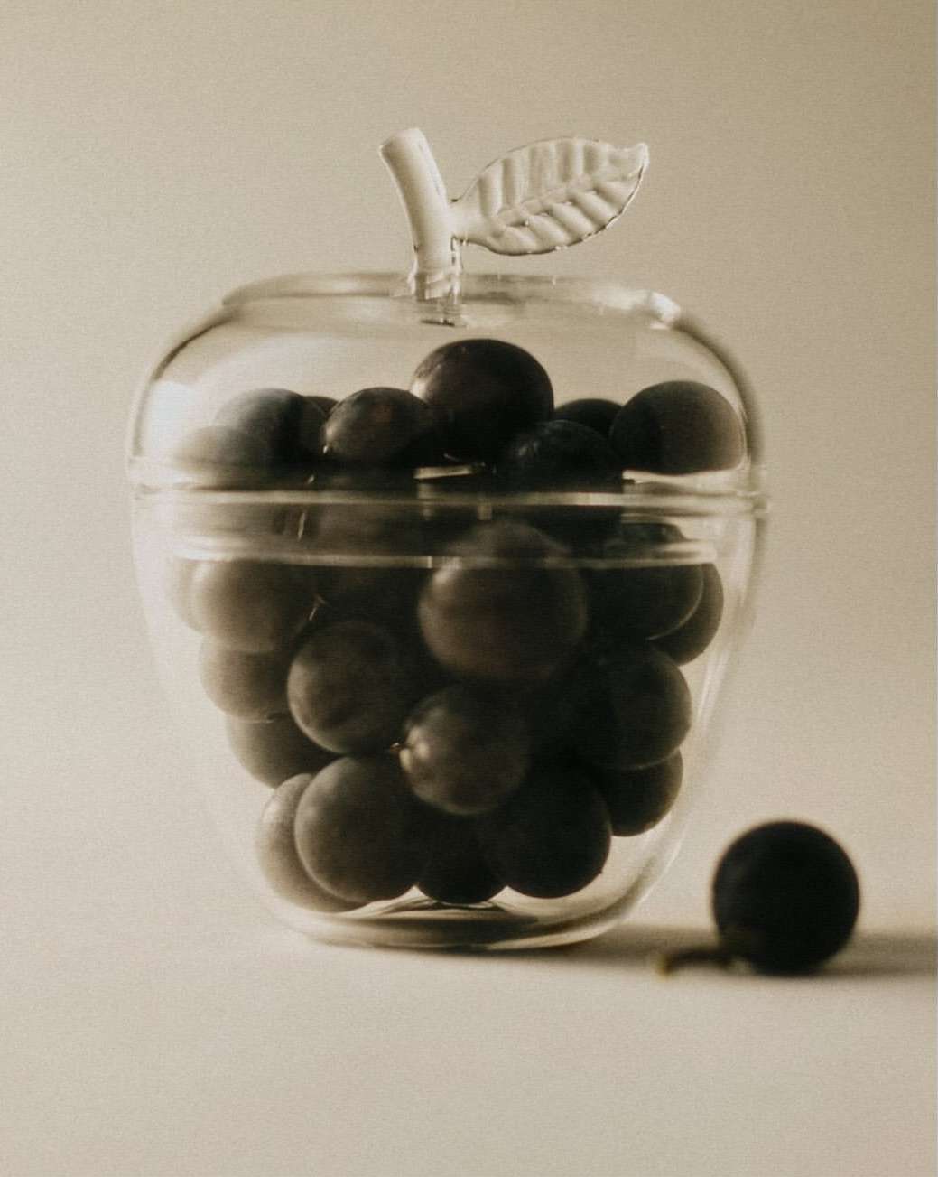 Adam Friedlander X Sophie Lou Jacobsen Dec. 25