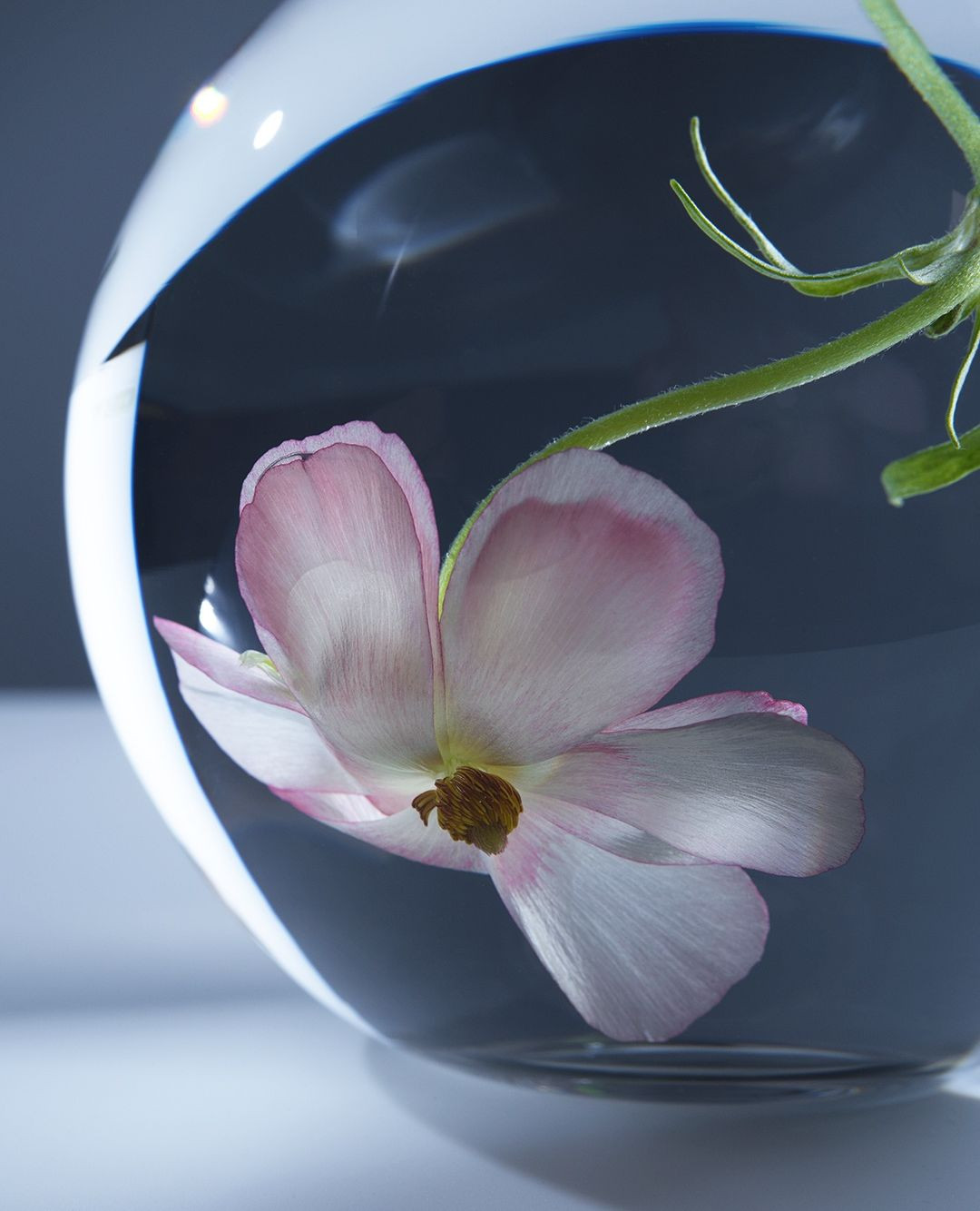 Adam Savitch Nov. 25