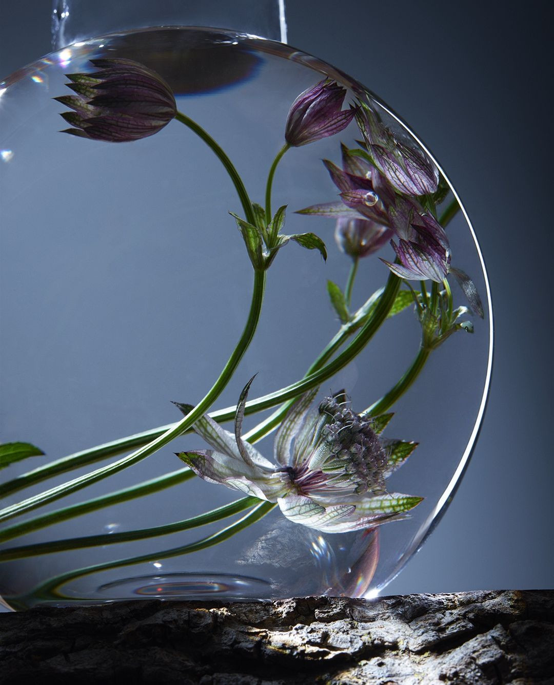 Adam Savitch Nov. 25